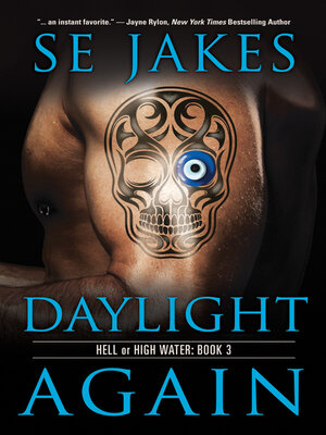 cover image of Daylight Again